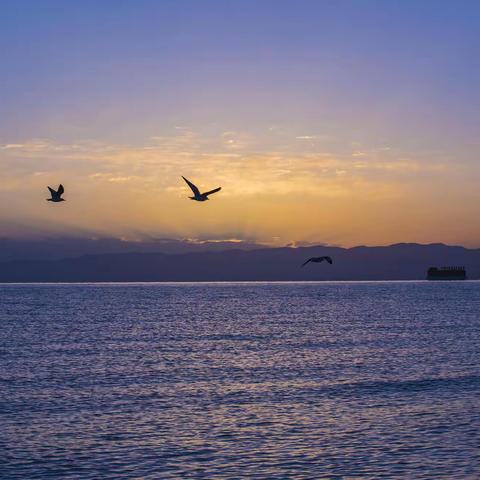 烟波浩渺青海湖