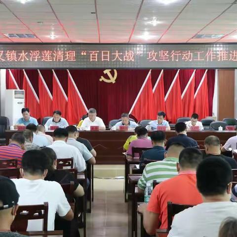 牙叉镇水浮莲清理“百日大战”攻坚行动工作推进会