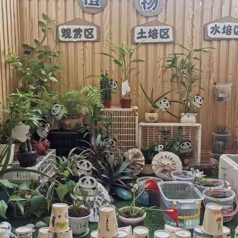 洋浦三都幼儿园第十三周大扫除