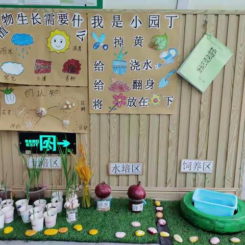 洋浦三都幼儿园第十五周大扫除。