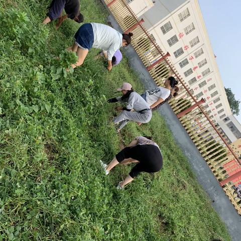 绿化环境，美化校园！  ——鹿头小学全体教师进行校园四化建设