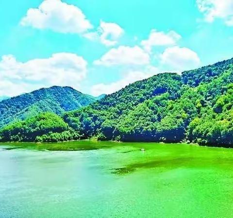 童心共筑  绿色家园——引镇枣园小学学子争当秦岭生态小卫士