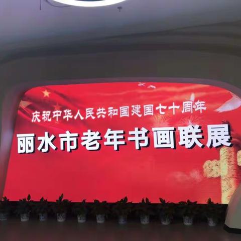 己亥丽水市老年书画联展