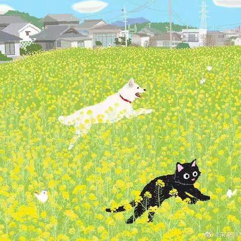 科学与你 等花开 等疫散———☞科学网络直播课开课啦！！！☜