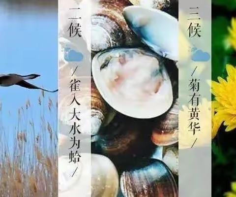 【十月寒露至 白云秋意浓】示范区大拇指幼儿园二十四节气之“寒露”