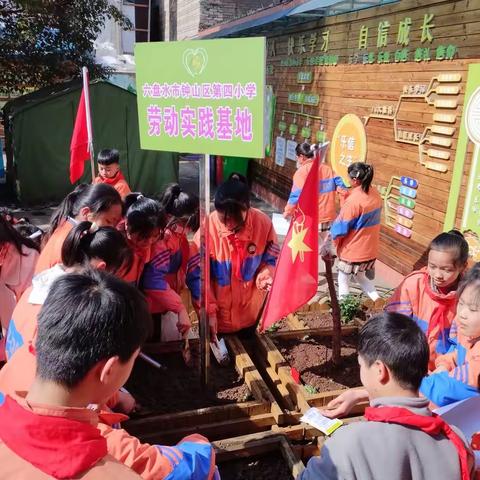 六盘水市钟山区第四小学“小菜园种植”劳动教育实践主题活动                          ----活动简讯