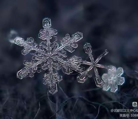 了解“小雪” 解锁冬日快乐