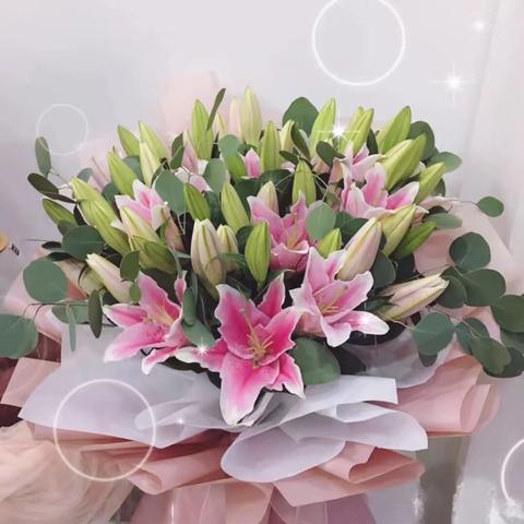 怀念我的父亲