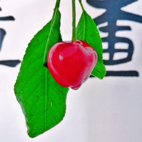 🌱这些年，我眼中的风景🎋