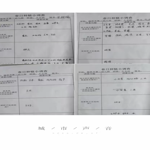 【小一班】STEM理念下种植课程初体验——《我们的玉米和豆角》