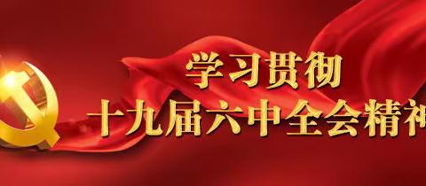 认真学习贯彻十九届六中全会精神 奋力开创新时代土官镇小学教育发展新局面