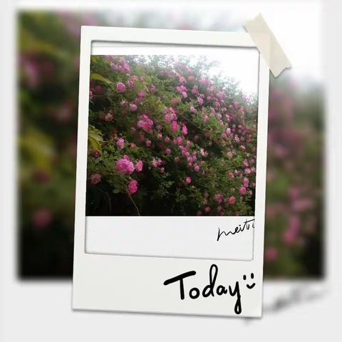 非常5+1😄😄😄