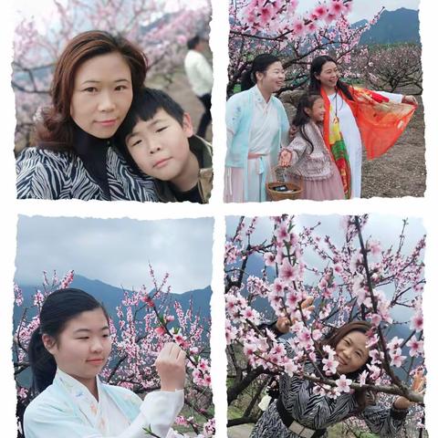 括苍烟雨花满树，岁月静好人非花。