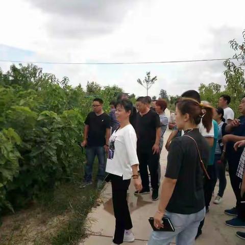 焦村镇：练好基本功 力圆蚕桑梦