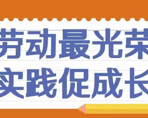 同心战疫，用爱筑家——宋村学校居家劳动实践篇