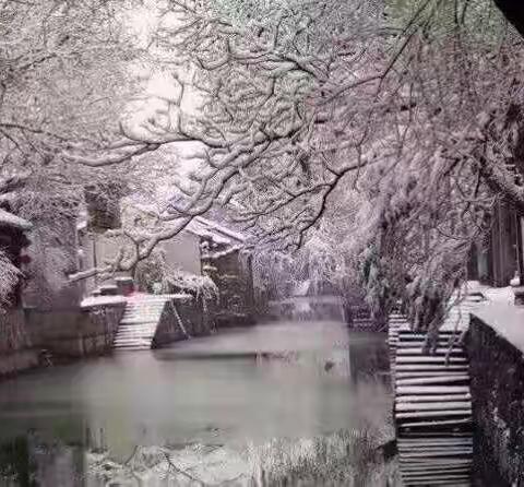 齐心协力，浴“雪”奋战