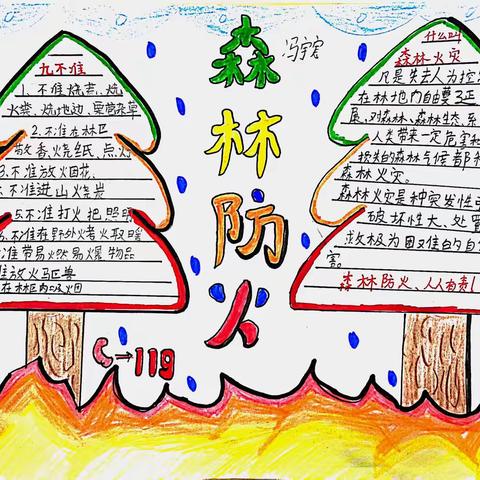 【实践活动】安全小报