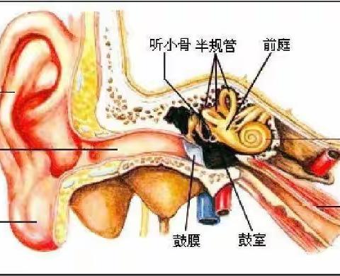 “爱耳日里说爱耳，健康听力听美好”———回龙幼儿园爱耳日主题宣传教育活动