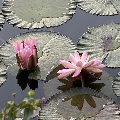 寒昼