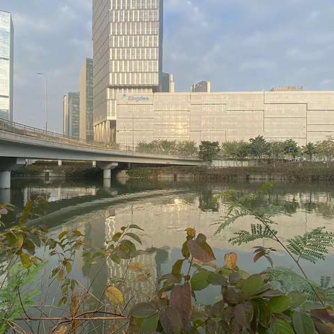 沙河盛景