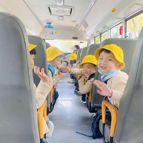 【不负春光，快乐春游】海豹班