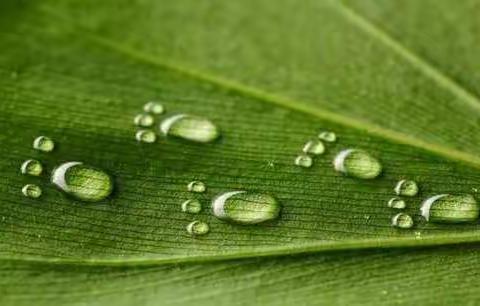 二十四节气●雨水至万物复苏