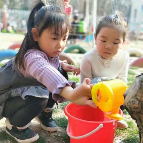 我和小树做朋友