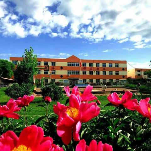 优秀读书手抄报