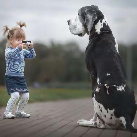 小孩&大狗