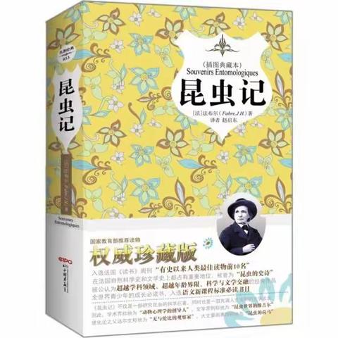 昆虫记读后感