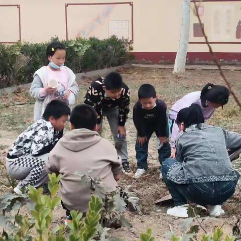 课后延时服务，效果五彩纷呈——北辛庄学区北代河小学课后延时服务