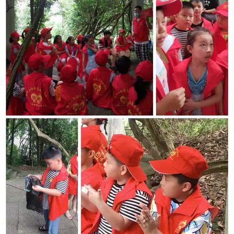 我是实践小达人——横湖小学三（7）班李梓豪