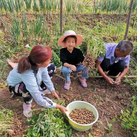 热爱劳动好少年—二年级七班熊奕涵