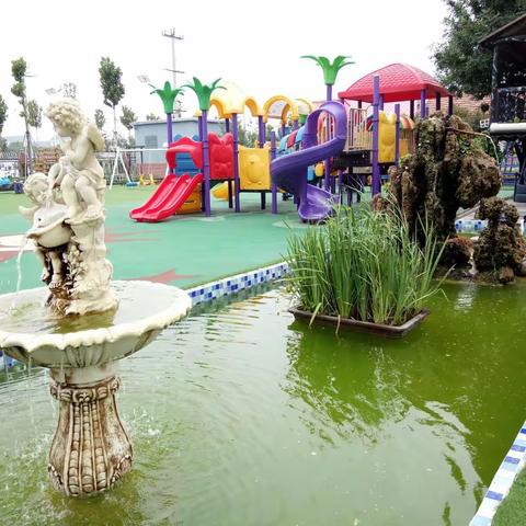 盛夏时节，花红柳绿，生机盎然！美哉，我的园！