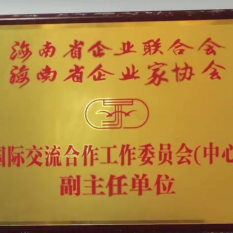 海南企联国际工委江东座谈会       2024-5-14