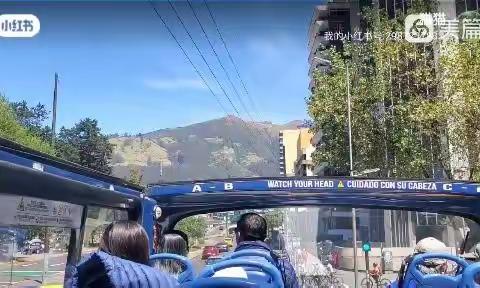 秋天的感觉了，风微寒，叶飘扬。没有萧瑟，落叶寥寥，满眼望去树木还是那么绿意盎然。