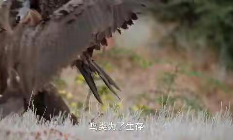 长葛市市直幼儿园小班12月16日周五“祖孙日”《跟着“太阳”走》线上“日常陪伴”教育活动