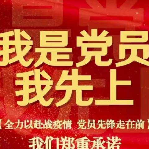 一名党员  一面旗帜——海拉尔西路小学党员教师抗疫纪实