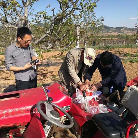 5月2日林业局技术人员到合室乡桥堡村下乡观看核桃受灾后花芽授粉