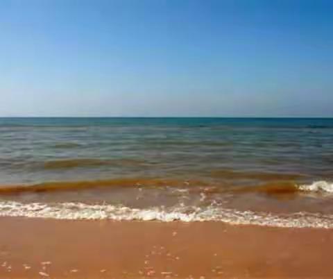 莱州湾😃自家船打捞即食海参篇