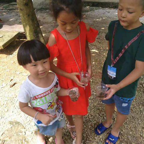 第一次在外婆家和大哥、大姐、二姐，一起玩。