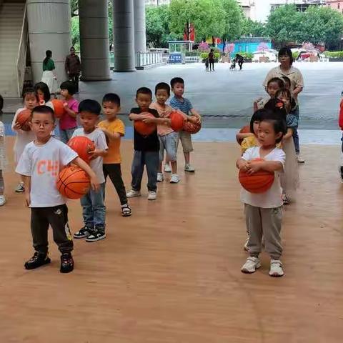 金秋十月、金宝幼儿园中二班幼儿成长记