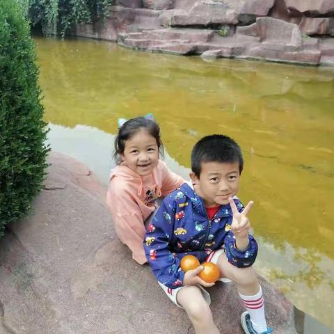 书里的神奇世界