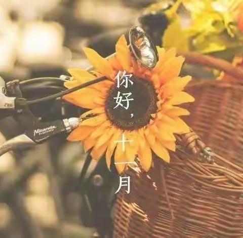 🏠太阳六班🌞多彩十一月💗🐯🈶