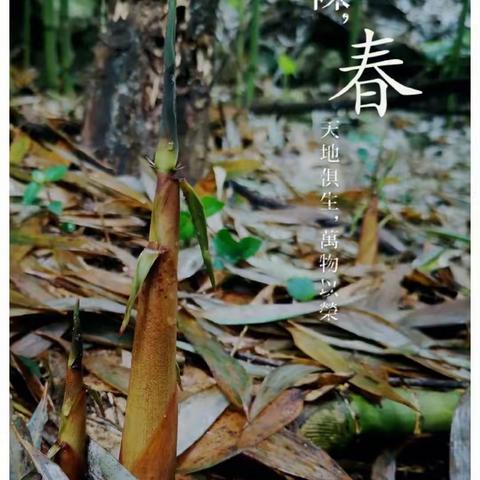 轻扣诗歌大门——雨后