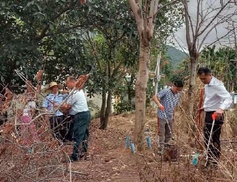 海棠区委常委 政法委书记卢家强到铁炉村督导检查创文巩卫工作