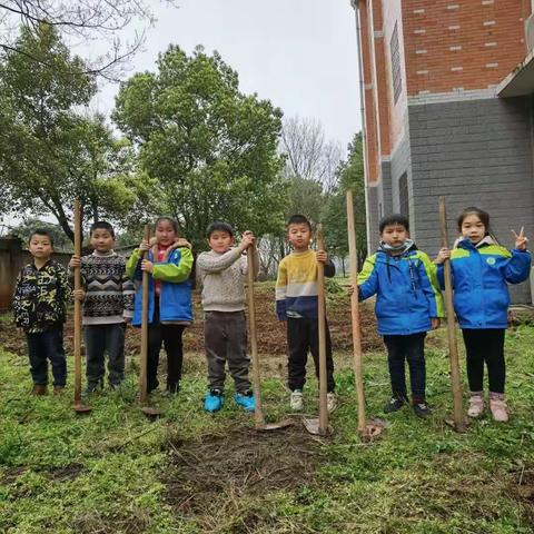 每一抹新绿，都会被记录在春天的文案里—记人民路朝阳小学二2班种植活动