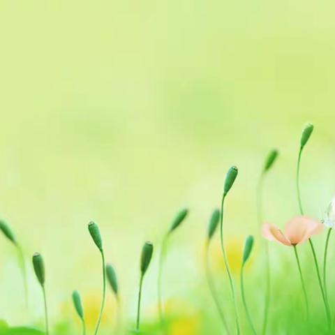 教研携手，学思共进——记北海市高中英语学科中心组走进合浦一中