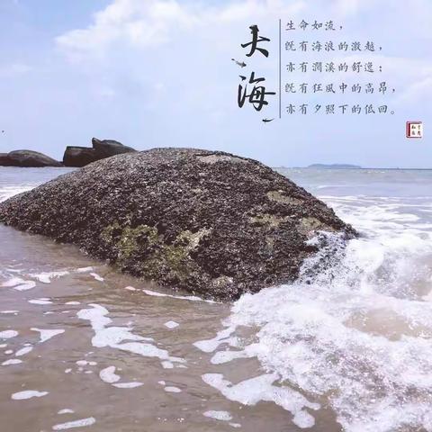 我的厦门超级"流水帐"