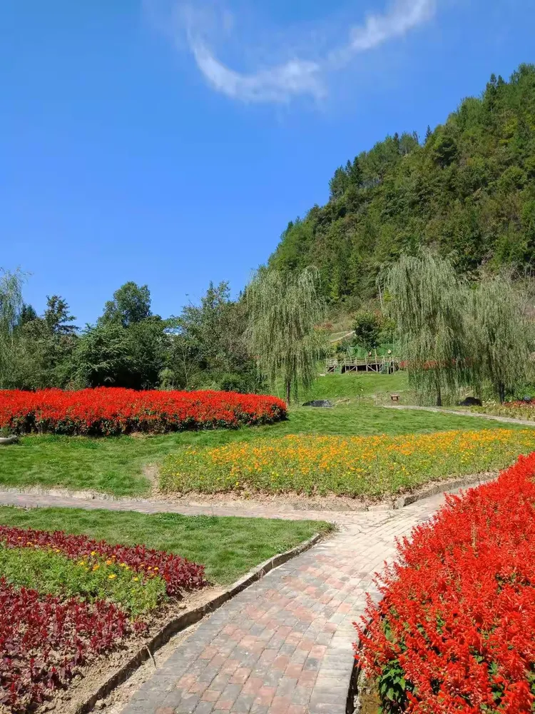 城口县的九重花岭,姹紫嫣红!值得一看!